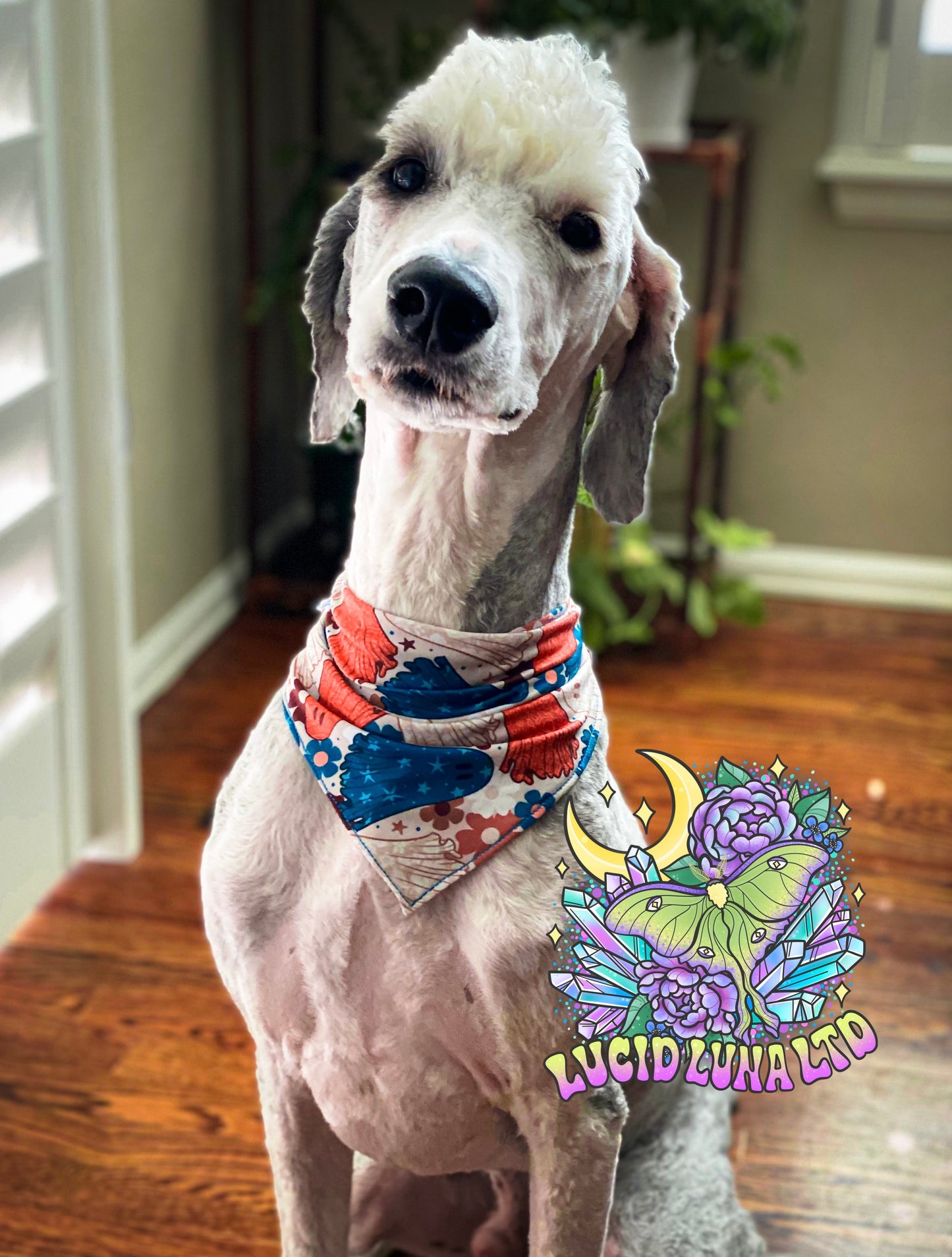 Pup Bandana