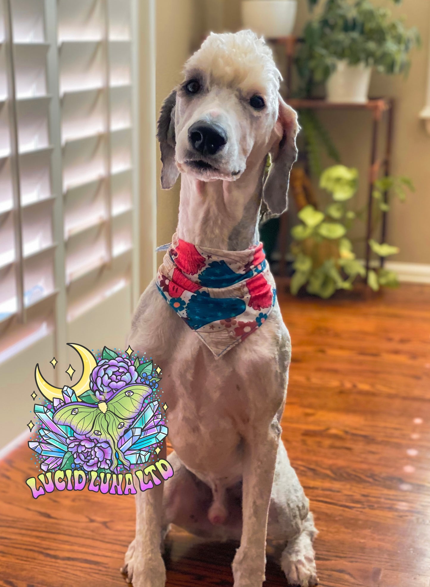 Pup Bandana